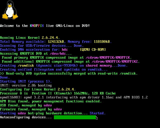 File:KNOPPIX booting.png