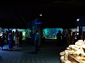 Bassins de l'Aquarium de La Rochelle