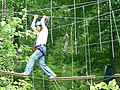 osmwiki:File:Tree climbing - Grimpe d'arbre.jpg