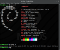 MiniOS - Terminal de Xfce, con Neofetch y el comando uname -a