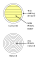 Cross sections of natural and cultured pearls