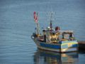 Petit bateau de pêche